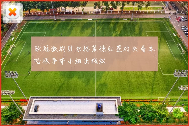 欧冠激战贝尔格莱德红星对决哥本哈根争夺小组出线权